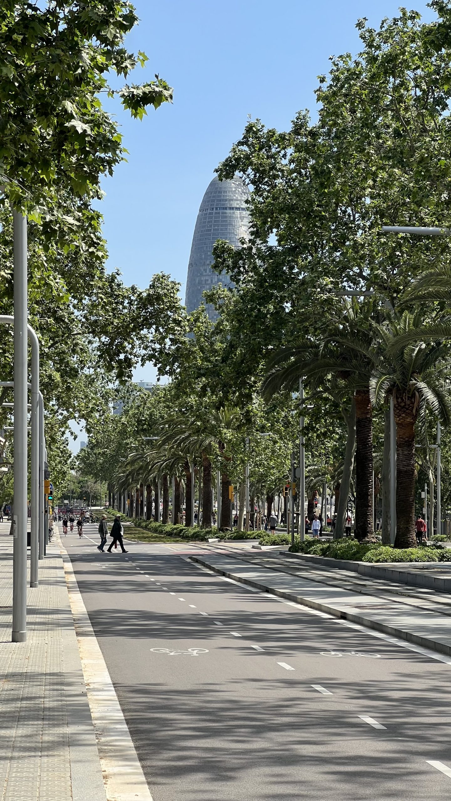 Why Barcelona is One of the Best Erasmus Destinations